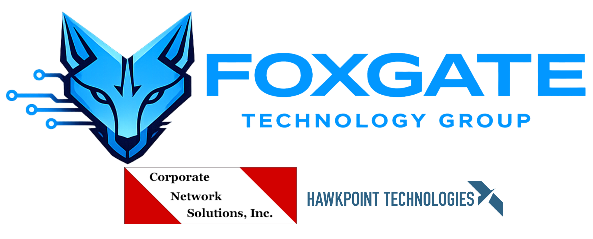 FTG_HPT_CNSI Logo copy